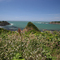 Chetco Point