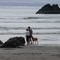Beach serenity - Brookings, OR