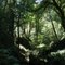 Northernmost Coast Redwoods - Foot of the Alfred Loeb Redwood Nature Trail - July 2011