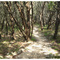 muleshoe bend park hiking trail