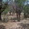Wilderness at Creekside Cabins