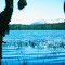 Bartlett Lake, Glacier Bay National Park, Alaska, 1986