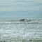 Surf - Ilha de Guriri