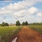 Fazenda Nova Jerusalém