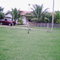 Rancho Fortaleza em  Chupinguaia