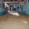 Escola 8 de Maio