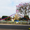 Estrela de 20 pontas