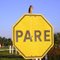 Coruja de buraco na placa "pare"