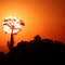 No entardecer