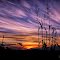 The colors of the cirrus