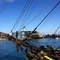 Wooden Boat Festival, Port Townsend