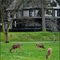 Fort Worden Park