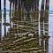 Coupeville Pier with high tide coming in