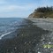 Beach in Fort Ebey State Park