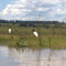 tuius no rio grande