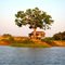 Fazenda no Rio Amazonas, próximo a Alenquer- Pará- Brasil