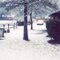 Snow in Bullard, Texas 2004