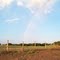 Rainbow while driving through the country near Bullard, TX
