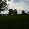 The Ewing Estate