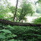 Searching for the River