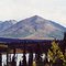 Denali highway