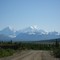 Denali Highway View
