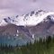 Denali Highway View