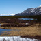 Alaska - spring