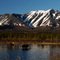 Alaska Range / moose
