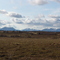 Tundra near Dillingham, AK