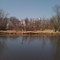 Cedar River