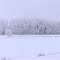 county rd c33