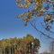 Fall Colors along the Sugar River Bike Trail