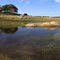 A Seasonal Pond at Beals Point, Folsom Lake State Recreational Area, California