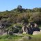 Beeks Bight Trail, Folsom Lake State Recreation Area, California