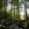 breakneck brook