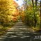 Autumn Country Lane - New England