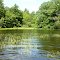Mashapaug Lake, Union, CT
