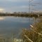 Banner Marsh