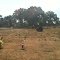 Spring Lake Cemetary
