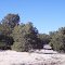 Beautiful 16.57 Acre Homesite