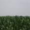North of Cedarville, IL