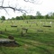 Aurora Cemetery
