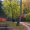 Withrow Springs Camp Road