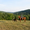 3D Acres