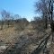 Abandoned Egyptian Line