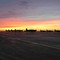 Harvard IIs at dawn