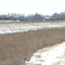 1 Elk Crossing Transcanada