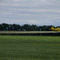 Carberry