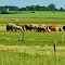 Highway 5, Near Carberry,  Manitoba